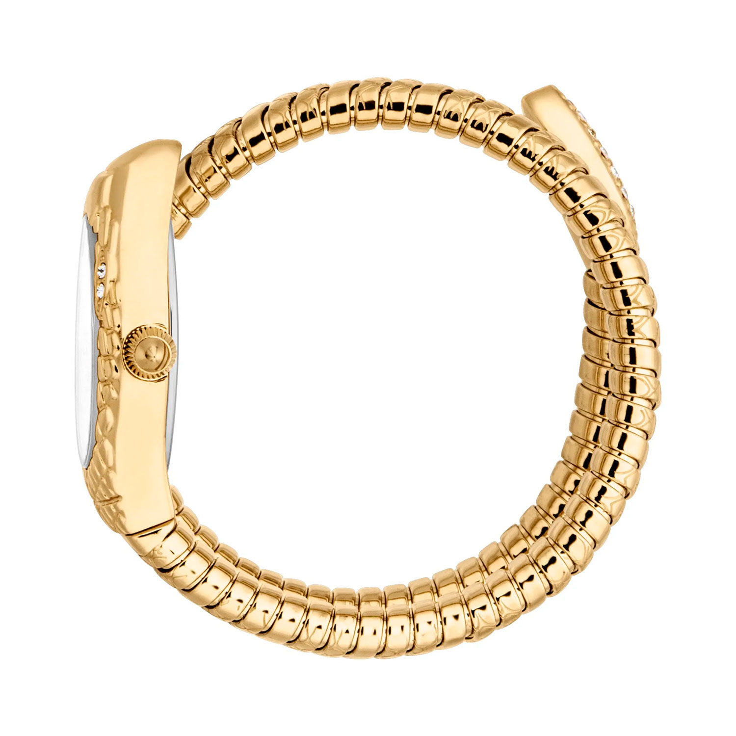 Just Cavalli JC1L373M0025